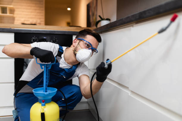 Best Pest Prevention Services  in Worcester, MA