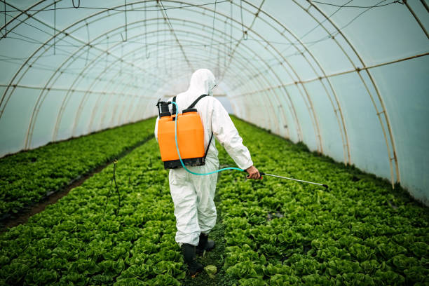 Best Residential Pest Control  in Worcester, MA
