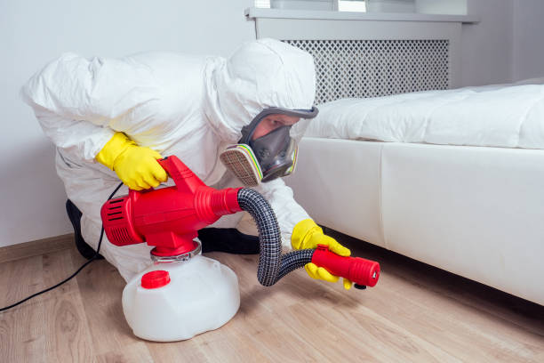  Worcester, MA Pest Control Pros