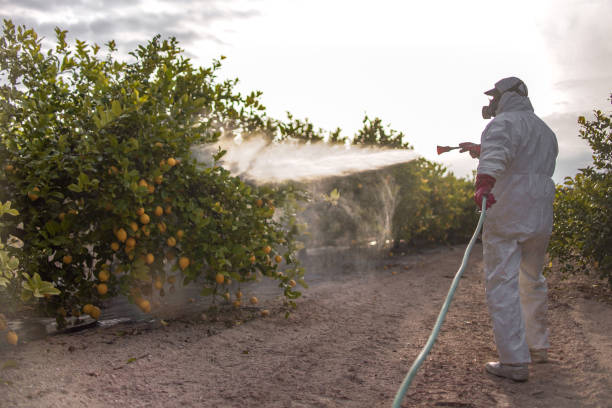 Insect Control in Worcester, MA