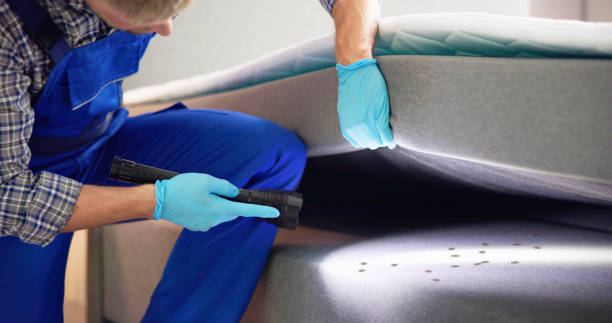 Best Wildlife Control Services  in Worcester, MA