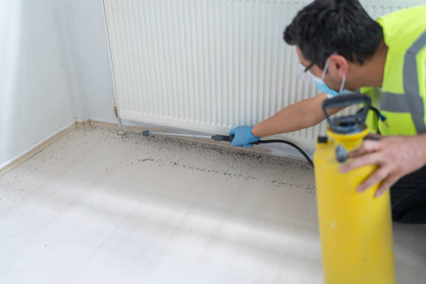 Best Pest Removal Services  in Worcester, MA
