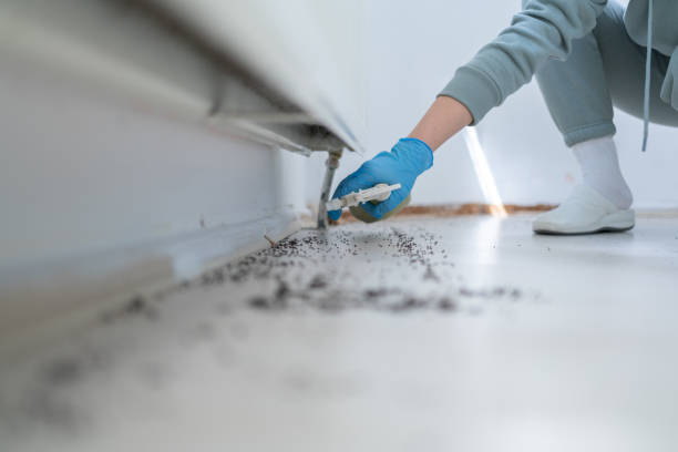 Best Emergency Pest Control  in Worcester, MA